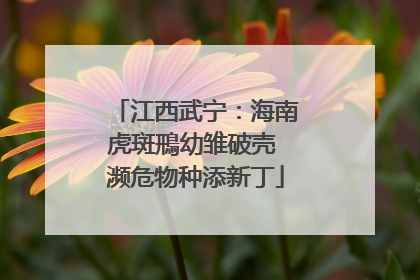江西武宁：海南虎斑鳽幼雏破壳 濒危物种添新丁