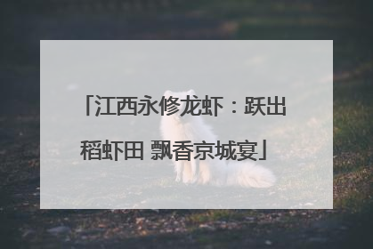 江西永修龙虾：跃出稻虾田 飘香京城宴