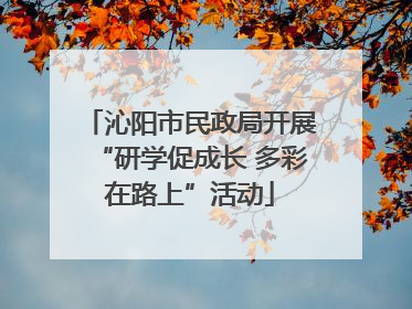 沁阳市民政局开展“研学促成长 多彩在路上”活动