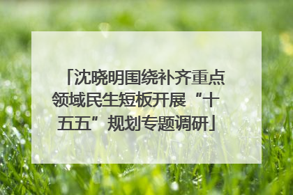 沈晓明围绕补齐重点领域民生短板开展“十五五”规划专题调研