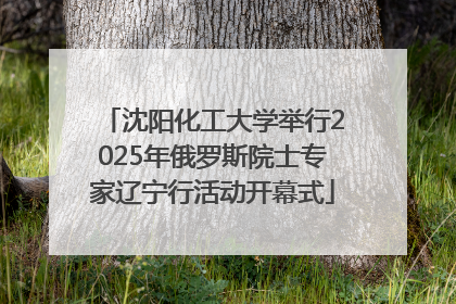 沈阳化工大学举行2025年俄罗斯院士专家辽宁行活动开幕式