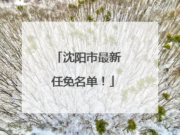 沈阳市最新任免名单！