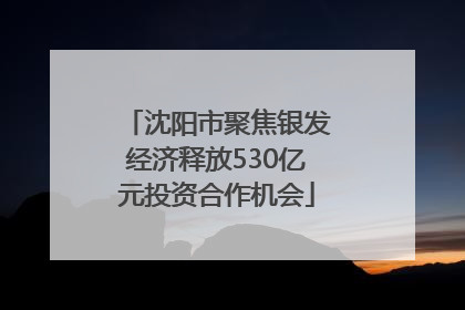 沈阳市聚焦银发经济释放530亿元投资合作机会