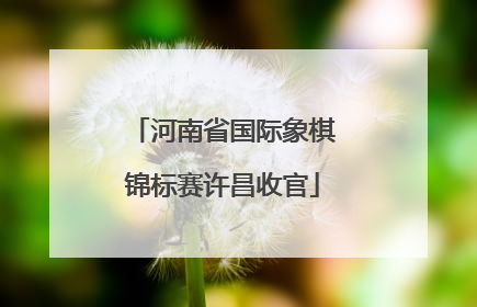 河南省国际象棋锦标赛许昌收官