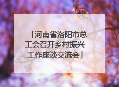 河南省洛阳市总工会召开乡村振兴工作座谈交流会
