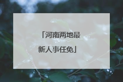 河南两地最新人事任免