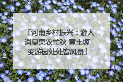 河南乡村振兴：游人消夏果农忙秋 黄土塬变游园处处皆风景