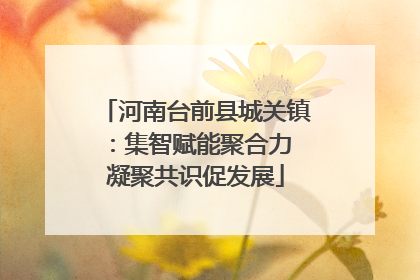河南台前县城关镇：集智赋能聚合力 凝聚共识促发展