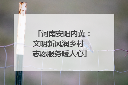 河南安阳内黄：文明新风润乡村 志愿服务暖人心