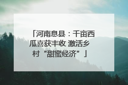 河南息县：千亩西瓜喜获丰收 激活乡村“甜蜜经济”