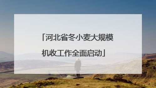 河北省冬小麦大规模机收工作全面启动