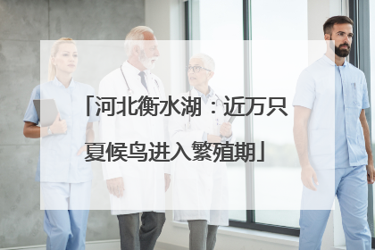 河北衡水湖：近万只夏候鸟进入繁殖期
