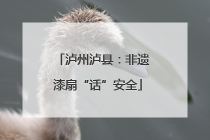 泸州泸县：非遗漆扇“话”安全