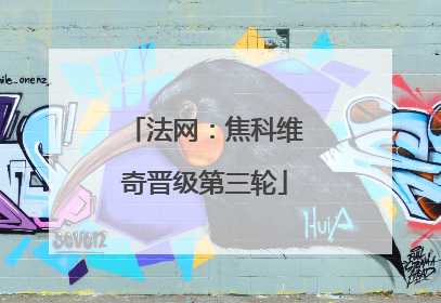 法网：焦科维奇晋级第三轮