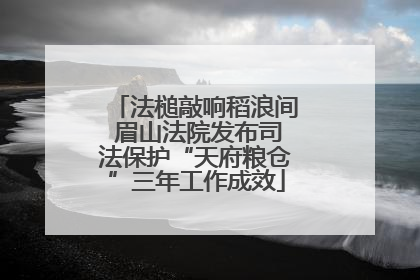 法槌敲响稻浪间 眉山法院发布司法保护“天府粮仓”三年工作成效