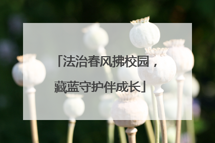 法治春风拂校园，藏蓝守护伴成长