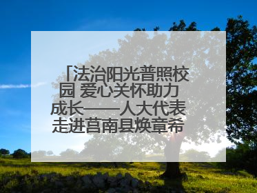 法治阳光普照校园 爱心关怀助力成长——人大代表走进莒南县焕章希望学校开展调研暨普法宣传活动