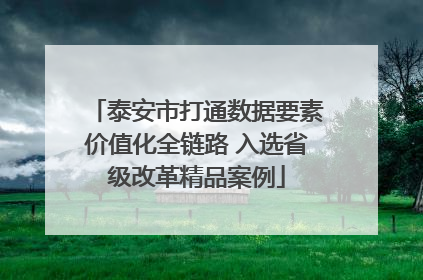 泰安市打通数据要素价值化全链路 入选省级改革精品案例