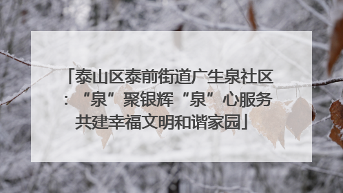 泰山区泰前街道广生泉社区：“泉”聚银辉“泉”心服务共建幸福文明和谐家园