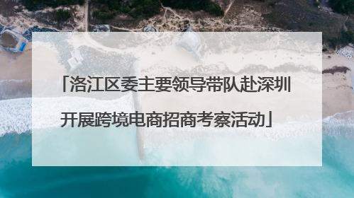 洛江区委主要领导带队赴深圳开展跨境电商招商考察活动
