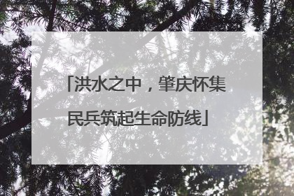 洪水之中，肇庆怀集民兵筑起生命防线