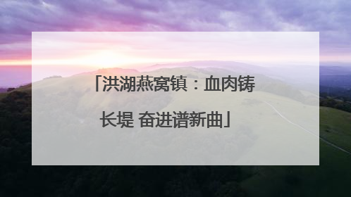 洪湖燕窝镇：血肉铸长堤 奋进谱新曲