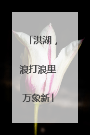 洪湖，浪打浪里万象新