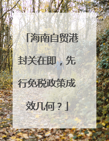 海南自贸港封关在即，先行免税政策成效几何？