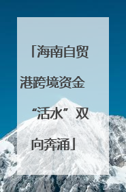 海南自贸港跨境资金“活水”双向奔涌
