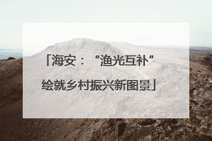 海安：“渔光互补” 绘就乡村振兴新图景