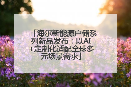 海尔新能源户储系列新品发布：以AI+定制化适配全球多元场景需求