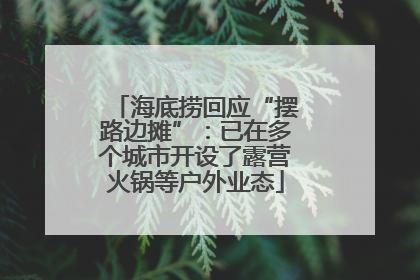 海底捞回应“摆路边摊”：已在多个城市开设了露营火锅等户外业态