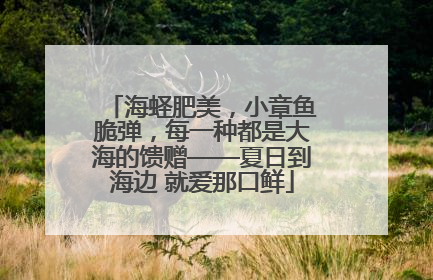 海蛏肥美，小章鱼脆弹，每一种都是大海的馈赠——夏日到海边 就爱那口鲜