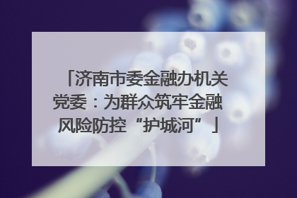 济南市委金融办机关党委：为群众筑牢金融风险防控“护城河”