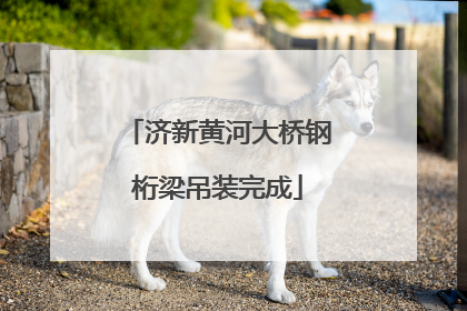 济新黄河大桥钢桁梁吊装完成
