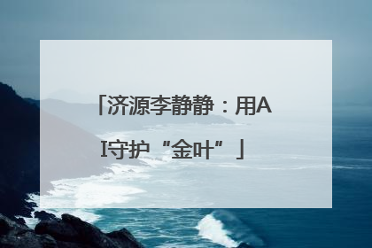 济源李静静：用AI守护“金叶”