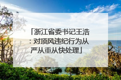浙江省委书记王浩：对顶风违纪行为从严从重从快处理