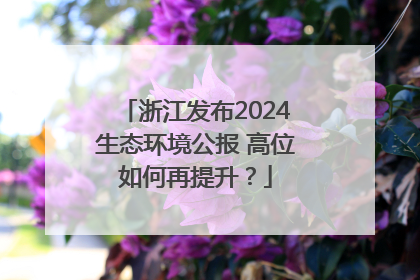 浙江发布2024生态环境公报 高位如何再提升？