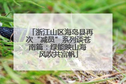浙江山区海岛县再次“减员”系列谈苍南篇：绿能映山海 风吹共富帆
