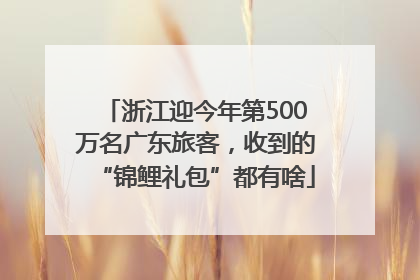 浙江迎今年第500万名广东旅客，收到的“锦鲤礼包”都有啥