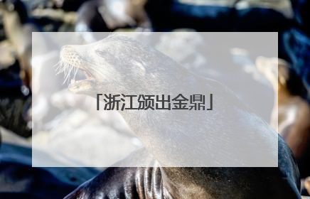浙江颁出金鼎