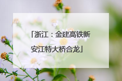 浙江：金建高铁新安江特大桥合龙