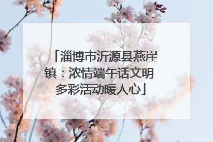 淄博市沂源县燕崖镇：浓情端午话文明 多彩活动暖人心