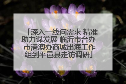 深入一线问需求 精准助力谋发展 临沂市台办 市港澳办商城出海工作组到平邑县走访调研