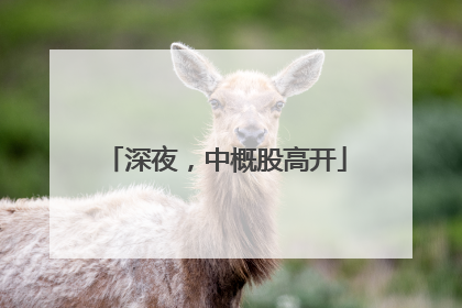 深夜，中概股高开