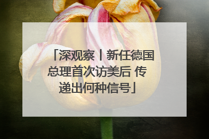 深观察丨新任德国总理首次访美后 传递出何种信号