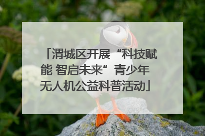 渭城区开展“科技赋能 智启未来”青少年无人机公益科普活动