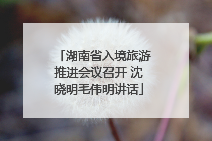 湖南省入境旅游推进会议召开 沈晓明毛伟明讲话