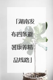 湖南发布四条避暑康养精品线路