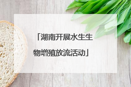 湖南开展水生生物增殖放流活动